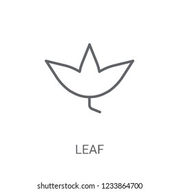 leaf icon. Trendy leaf logo concept on white background from leaf collection. Suitable for use on web apps, mobile apps and print media.