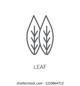 leaf icon. Trendy leaf logo concept on white background from leaf collection. Suitable for use on web apps, mobile apps and print media.