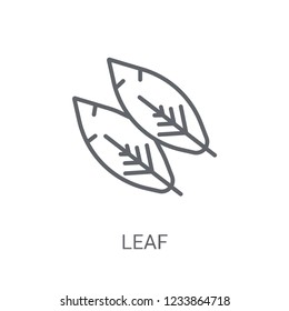 leaf icon. Trendy leaf logo concept on white background from leaf collection. Suitable for use on web apps, mobile apps and print media.