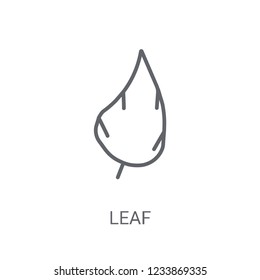 leaf icon. Trendy leaf logo concept on white background from leaf collection. Suitable for use on web apps, mobile apps and print media.