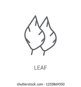 leaf icon. Trendy leaf logo concept on white background from leaf collection. Suitable for use on web apps, mobile apps and print media.