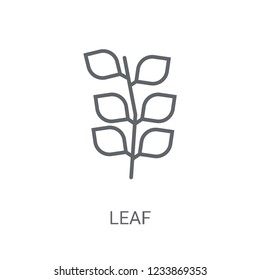 leaf icon. Trendy leaf logo concept on white background from leaf collection. Suitable for use on web apps, mobile apps and print media.