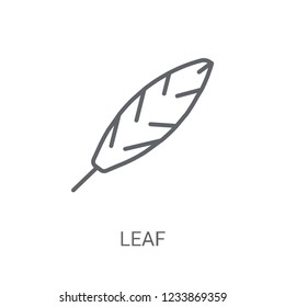 leaf icon. Trendy leaf logo concept on white background from leaf collection. Suitable for use on web apps, mobile apps and print media.