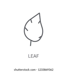 leaf icon. Trendy leaf logo concept on white background from leaf collection. Suitable for use on web apps, mobile apps and print media.