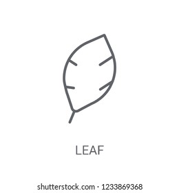 leaf icon. Trendy leaf logo concept on white background from leaf collection. Suitable for use on web apps, mobile apps and print media.