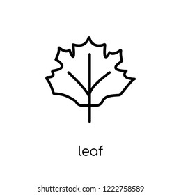 leaf icon. Trendy modern flat linear vector leaf icon on white background from thin line Ecology collection, outline vector illustration