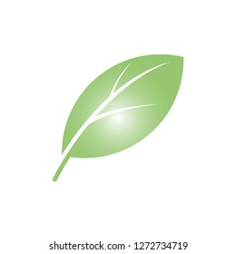 Leaf Icon in Trendy Style. Green Leaf Vector Illustration Logo Template.