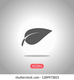 leaf icon. Icon under spotlight. Gray background