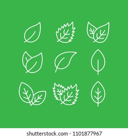 leaf icon vector