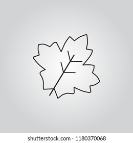 Leaf icon vector
