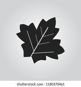 Leaf icon vector