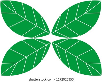 leaf icon vector