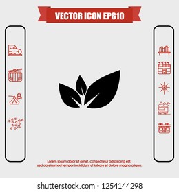 Leaf icon vector