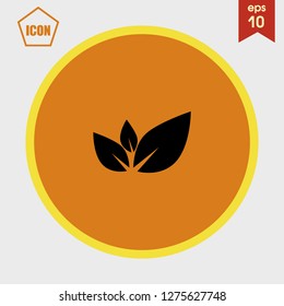 Leaf icon vector