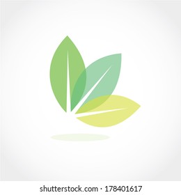 leaf icon vector