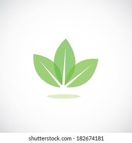 leaf icon vector