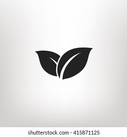 Leaf icon vector