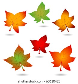 Leaf icon vector