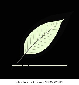 Leaf icon vector art and graphics