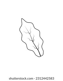 leaf icon, vector best line icon.