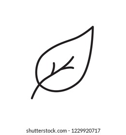 leaf icon vector design