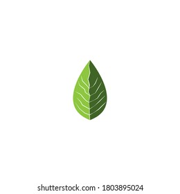 Vektorgrafik-Vektorgrafik-Design