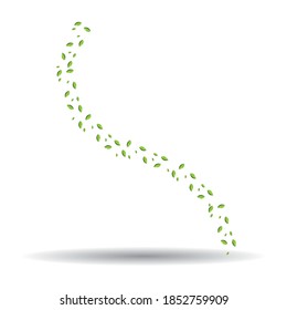 plantilla de ilustración de diseño vectorial de icono de hoja y fondo