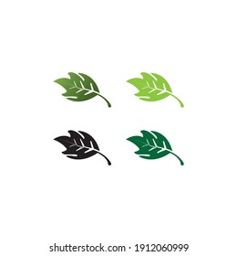 leaf icon vector design illustration template and background