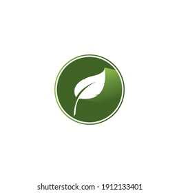 
plantilla de ilustración de diseño vectorial de icono de hoja y fondo