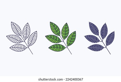 Leaf icon vector design illustration
