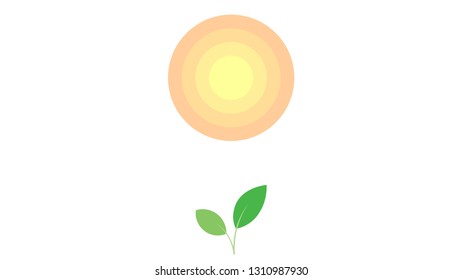 Leaf icon vector design. Leaf logo.