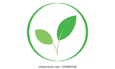 Leaf icon vector design. Leaf logo.