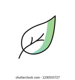 leaf icon vector design. modern icon design