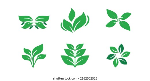 Leaf icon vector design with modern creative concept Premium Vector