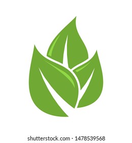 leaf icon vector design template