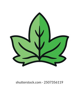Leaf icon vector design templates simple and modern concept graphic