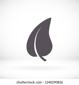 Leaf icon. Vector  Eps 10 