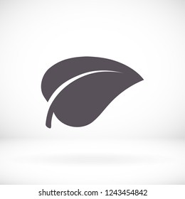 Leaf icon. Vector  Eps 10 