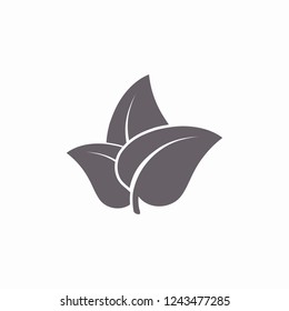 Leaf icon. Vector  Eps 10 