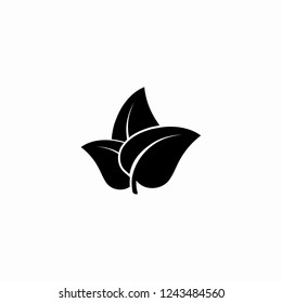 Leaf icon. Vector  Eps 10 