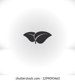 Leaf icon. Vector  Eps 10 