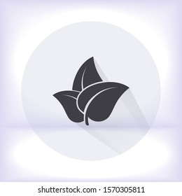 Leaf icon. Vector Eps 10 . Lorem Ipsum Flat Design