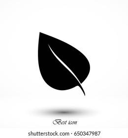 leaf icon vector, flat design best vector icon