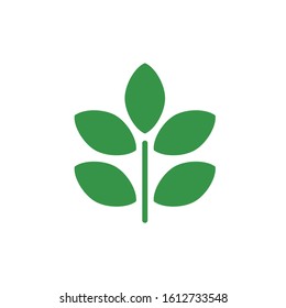 leaf icon vector, green nature, flora simple vector icon template on white background.