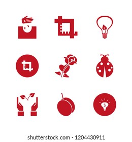 leaf icon. leaf vector icons set rose heart, apricot, hand seeds and ladybug