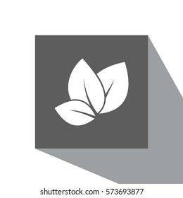 leaf icon vector illustration