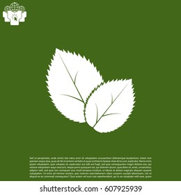 Leaf icon, vector illustration.