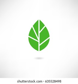 Leaf Icon Vector Illustration
