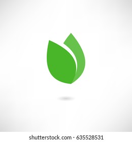 Leaf Icon Vector Illustration