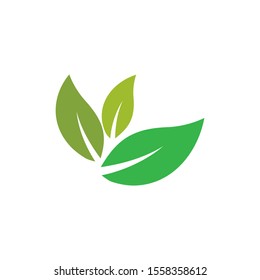 Tree Leaf Vector Logo Design Ecofriendly Stock Vector (Royalty Free ...